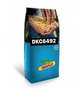Mısır Tohumu DKC 6492