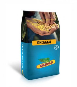 Mısır Tohumu DKC 6664