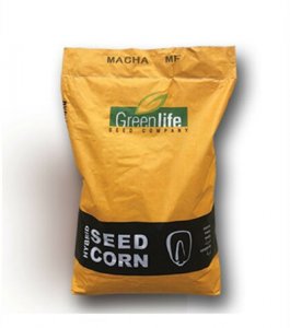 Mısır Tohumu Macha