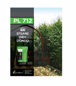 Mısır Tohumu PL 712